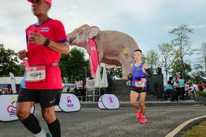 BIB: 
                            <button type="button" onclick="openModal(26529067)" class="btn btn-primary btn-sm float-right btn-popup" data-toggle="modal" data-target=".modal-high-quality">
                        <i class="fas fa-shopping-cart"></i> Add to Cart
                    </button>
                                            <button type="button" onclick="isThisMe(26529067, true)" class="btn btn-success btn-sm float-right btn-popup btn-isme hidden" data-toggle="tooltip" data-placement="bottom" title="นี่คือรูปของคุณใช่ไหม คลิกที่นี่เพื่อเอาเข้าอัลบั้ม">
                        <i class="fas fa-plus"></i> Add to album
                    </button>
                    <button type="button" onclick="isThisMe(26529067, false)" class="btn btn-warning btn-sm float-right btn-popup btn-isnotme hidden">
                        <i class="fas fa-ban"></i> Remove from album
                    </button>